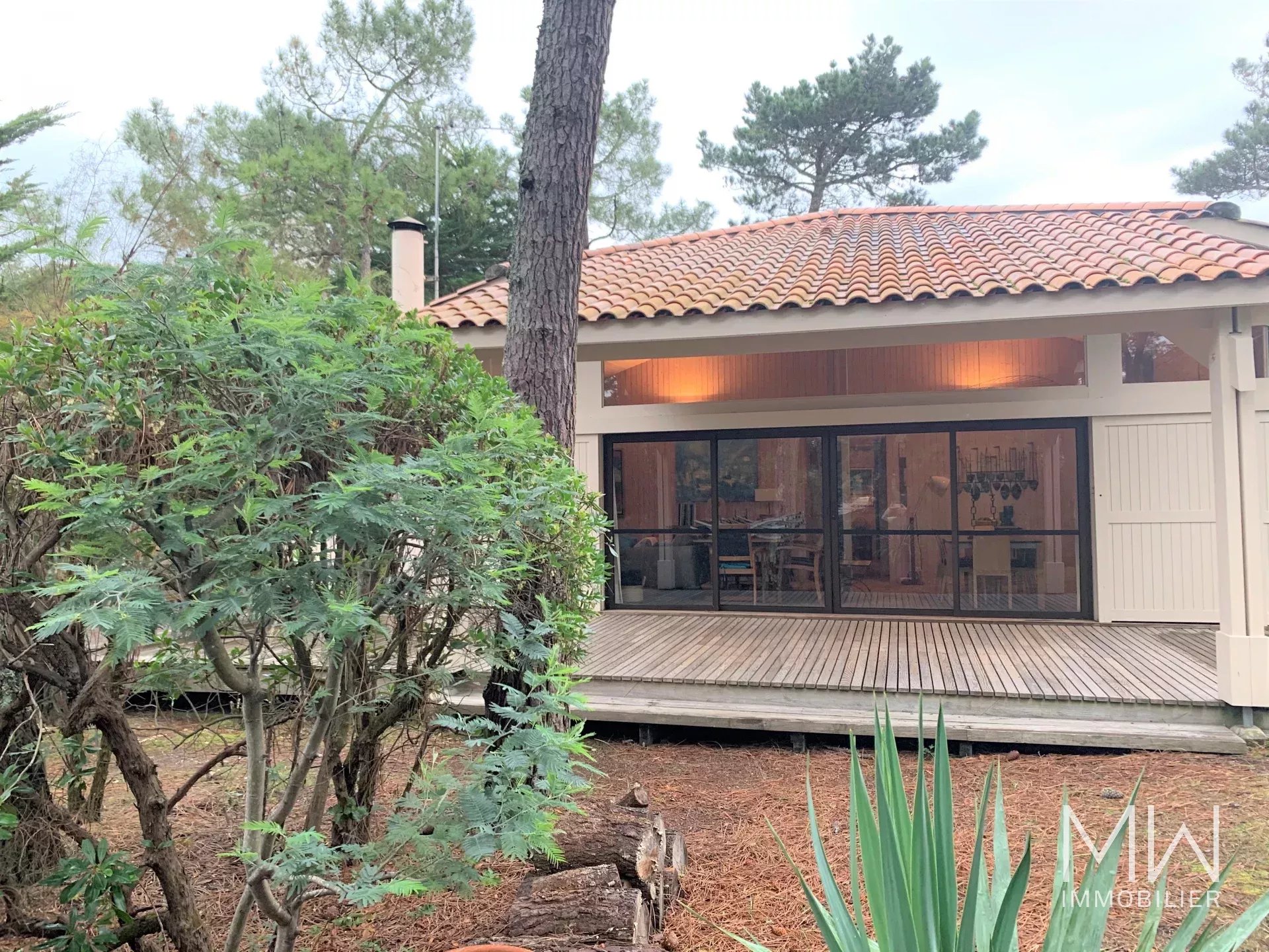 CAP FERRET ENTRE BASSIN ET OCEAN