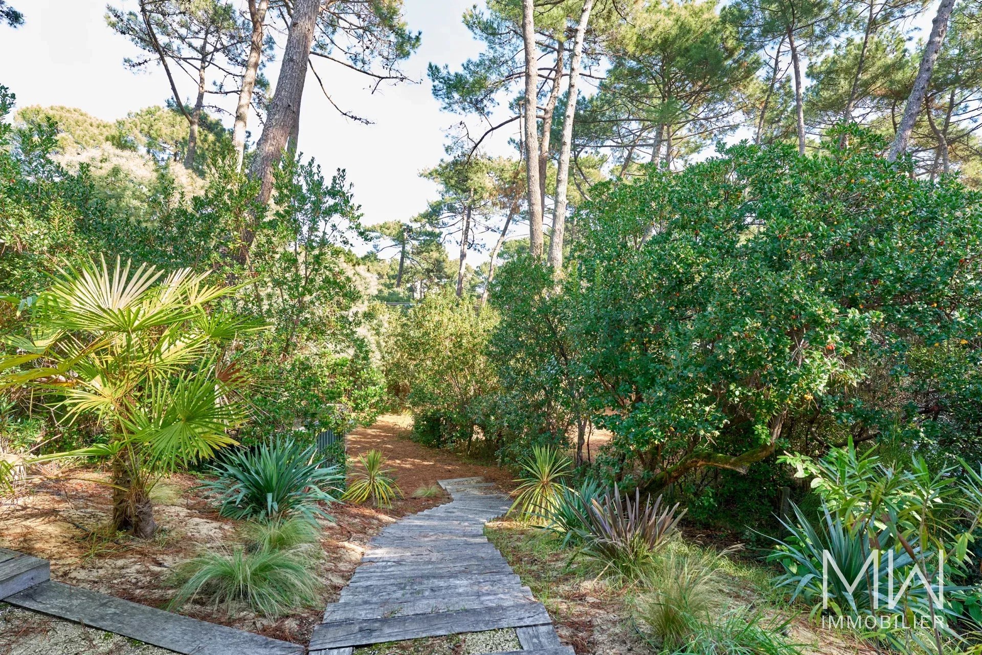 VILLA NICHEE DANS LA PINEDE – CAP FERRET – 8 COUCHAGES