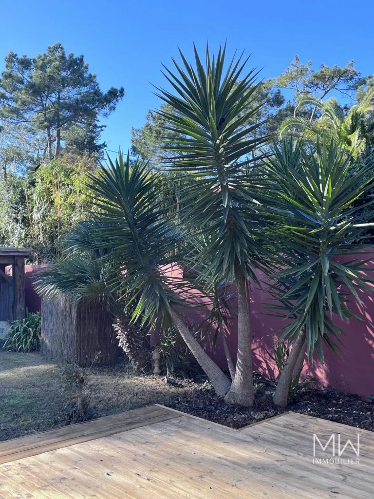 JOLIE VILLA BOIS