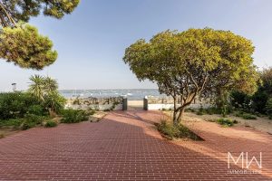 CAP FERRET