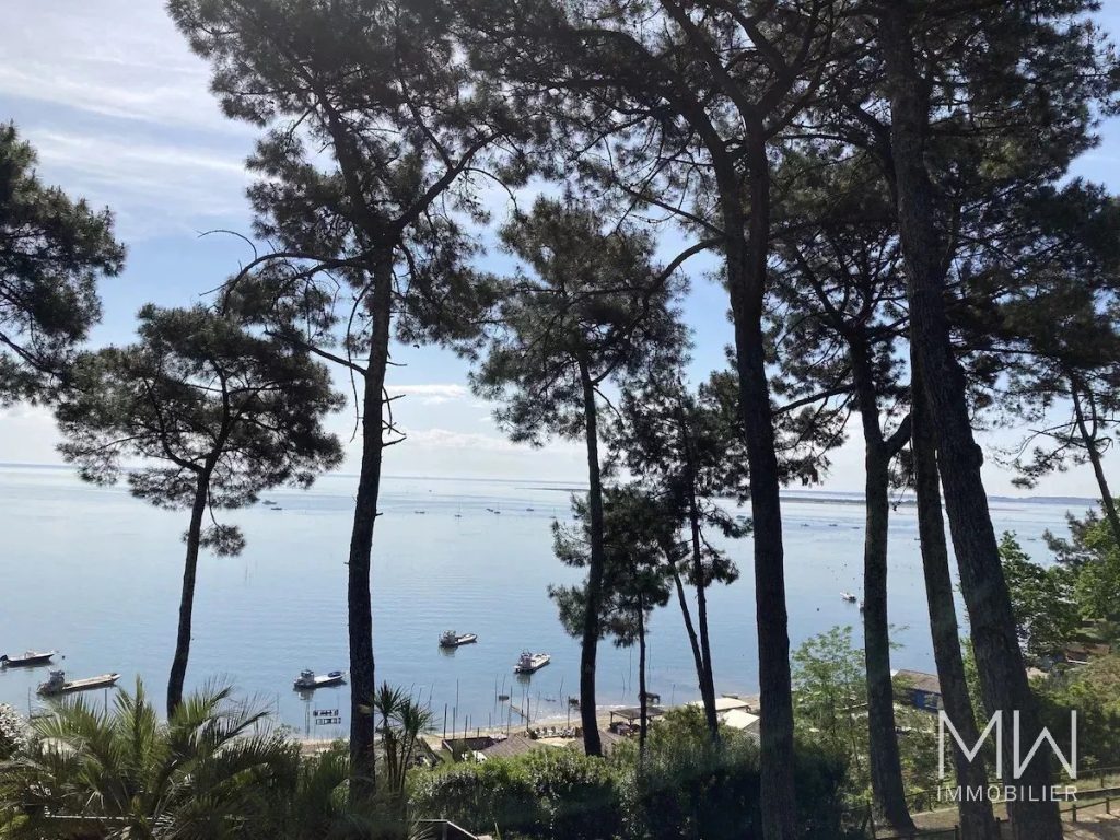 VILLA AVEC VUE BASSIN ET JACUZZI