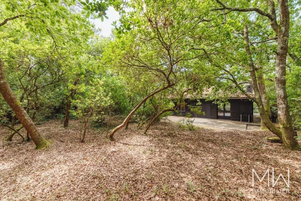BELLE VILLA BOIS SOUS LA PINEDE