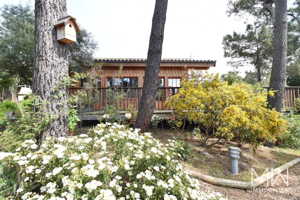 BELLE VILLA BOIS AU PIED DU PHARE