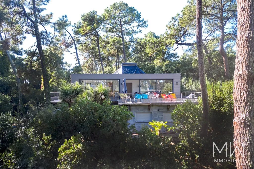 BELLE VUE SUR LE BASSIN  A TRAVERS LA PINEDE