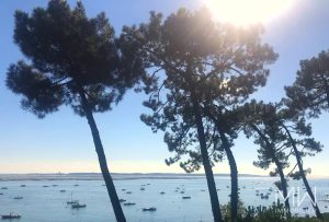 VUE PANORAMIQUE ET ACCES DIRECT A LA PLAGE