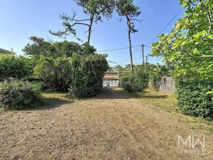 CAP FERRET CENTRE