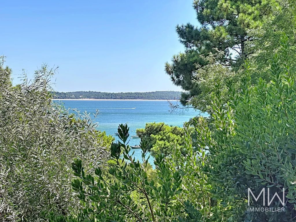 VUE PANORAMIQUE SUR LE BASSIN