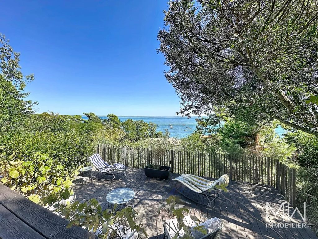 VUE PANORAMIQUE SUR LE BASSIN